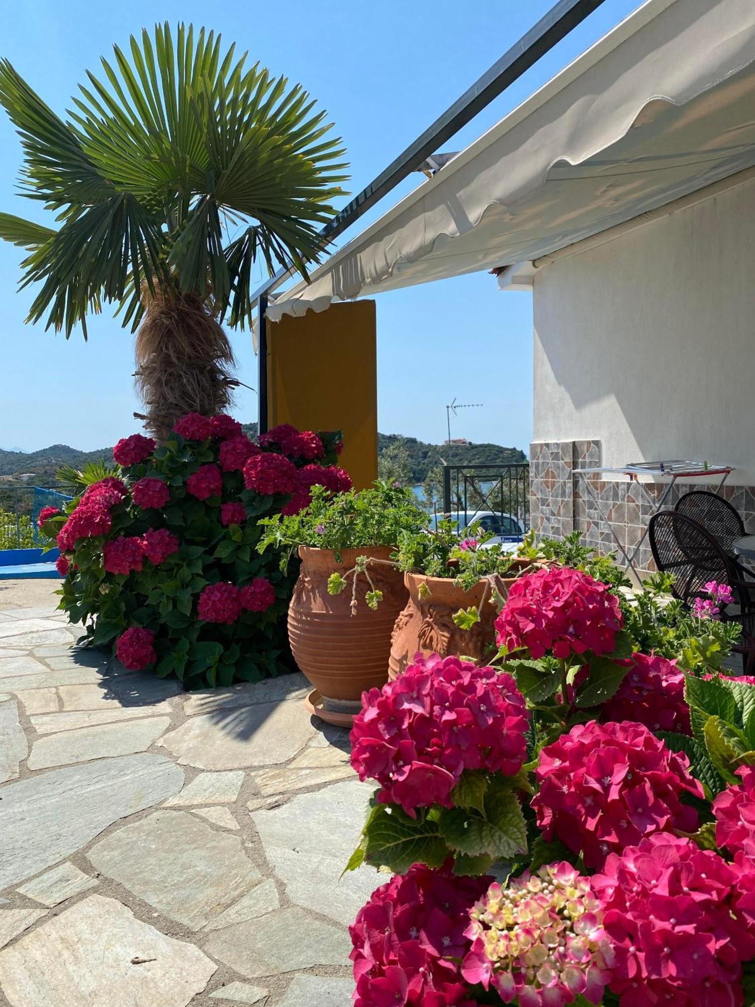 Demi Studios Ammouliana Buitenkant foto